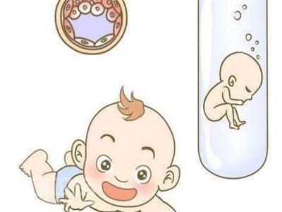 试管供卵公司